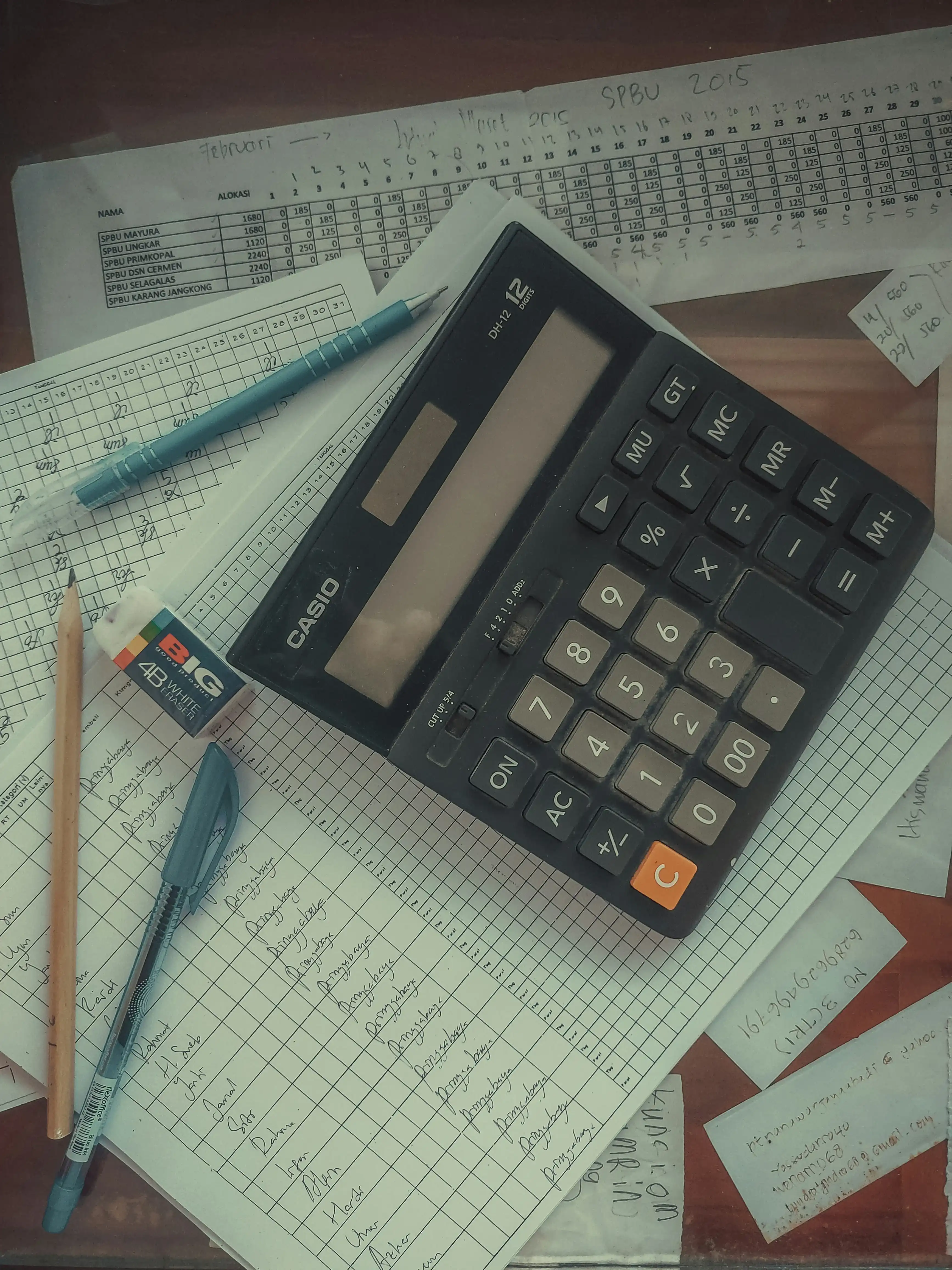 Bookkeeping specialist reviewing financial records